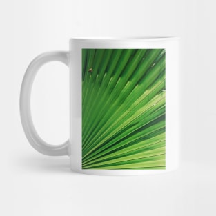 Close up photo of green leaves Mug